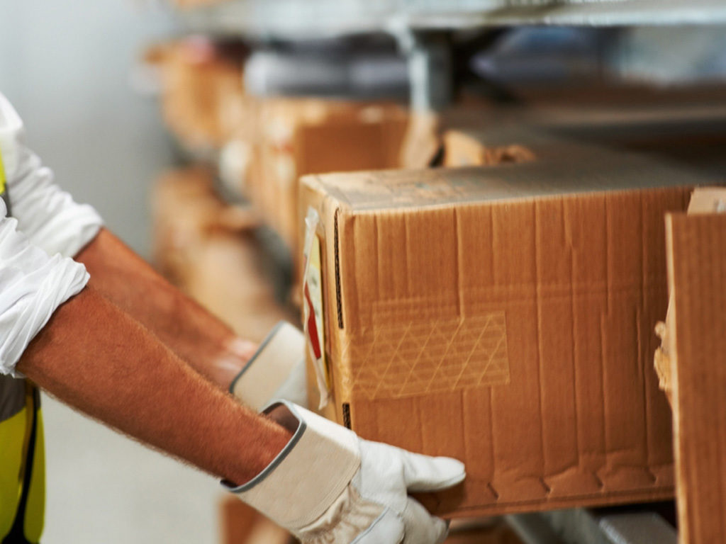 logistica